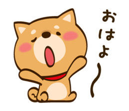 Cute Shibainu sticker #9289166