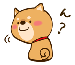 Cute Shibainu sticker #9289168