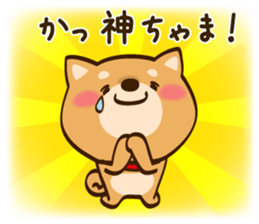 Cute Shibainu sticker #9289169