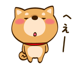 Cute Shibainu sticker #9289171