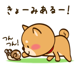 Cute Shibainu sticker #9289172