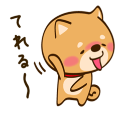 Cute Shibainu sticker #9289177