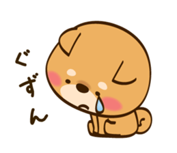 Cute Shibainu sticker #9289178