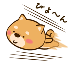 Cute Shibainu sticker #9289181