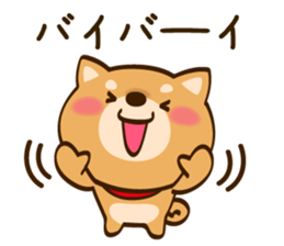 Cute Shibainu sticker #9289182