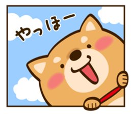 Cute Shibainu sticker #9289183