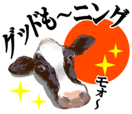 Variety gag 2! sticker #9541226