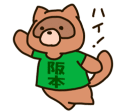 SAKAMOTO-raccoon sticker #11619339