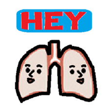 KM45 Internal organs sticker #11743149