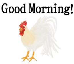 Cute animals sticker(English) sticker #12907102