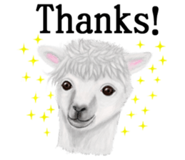 Cute animals sticker(English) sticker #12907104