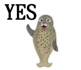 Cute animals sticker(English) sticker #12907105