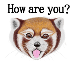 Cute animals sticker(English) sticker #12907107