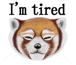 Cute animals sticker(English) sticker #12907109