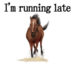 Cute animals sticker(English) sticker #12907110