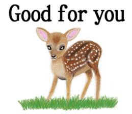 Cute animals sticker(English) sticker #12907115