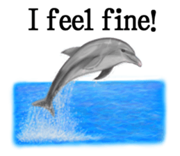 Cute animals sticker(English) sticker #12907121