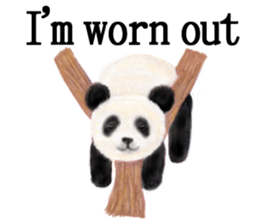 Cute animals sticker(English) sticker #12907139