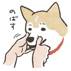 Shiba Inu (Shiba-Dog) stamps