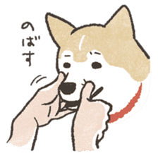 Shiba Inu (Shiba-Dog) stamps sticker #96522
