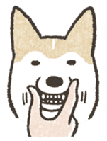 Shiba Inu (Shiba-Dog) stamps sticker #96523