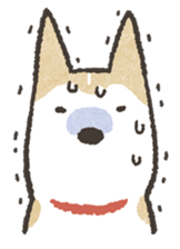 Shiba Inu (Shiba-Dog) stamps sticker #96530