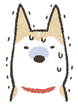 Shiba Inu (Shiba-Dog) stamps sticker #96530