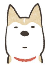 Shiba Inu (Shiba-Dog) stamps sticker #96539