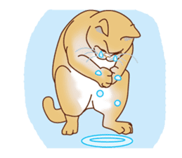 Connection of cat sticker #6647477