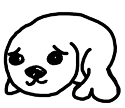 Seal pup sticker #7710188