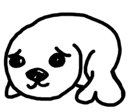 Seal pup sticker #7710188
