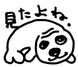 Seal pup sticker #7710192