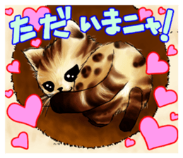 003_Bengal Cat Oscar Sticker sticker #8718771