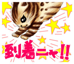 003_Bengal Cat Oscar Sticker sticker #8718772