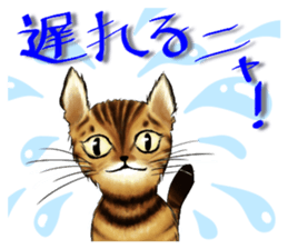 003_Bengal Cat Oscar Sticker sticker #8718773