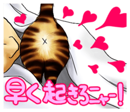 003_Bengal Cat Oscar Sticker sticker #8718779