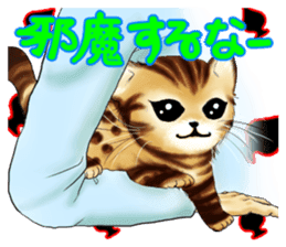 003_Bengal Cat Oscar Sticker sticker #8718780