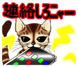 003_Bengal Cat Oscar Sticker sticker #8718781