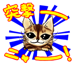 003_Bengal Cat Oscar Sticker sticker #8718782