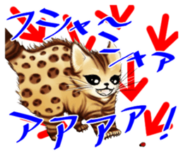 003_Bengal Cat Oscar Sticker sticker #8718783