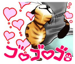 003_Bengal Cat Oscar Sticker sticker #8718784