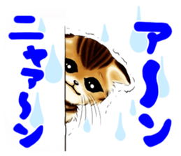 003_Bengal Cat Oscar Sticker sticker #8718785