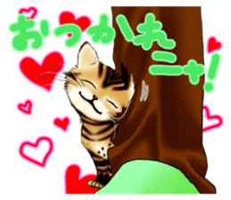 003_Bengal Cat Oscar Sticker sticker #8718790