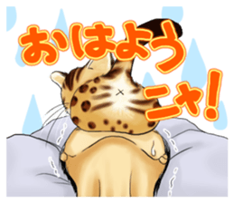 003_Bengal Cat Oscar Sticker sticker #8718791