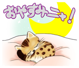 003_Bengal Cat Oscar Sticker sticker #8718794