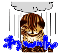 003_Bengal Cat Oscar Sticker sticker #8718805