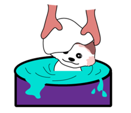 POMBABYPOM sticker #9124678