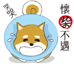a cute dog sticker #9201682