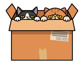 Meow Me 3 sticker #12909