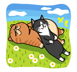 Meow Me 3 sticker #12917